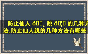 防止仙人 🕸 跳 🦋 的几种方法,防止仙人跳的几种方法有哪些